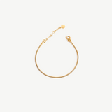 The Celine Snake Chain Bracelet