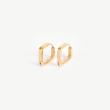 The Astor Hoops