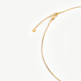 The Oslo Chain