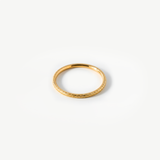 The Lyra Frosted Band
