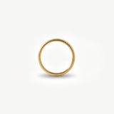 The Lyra Frosted Band